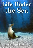 Life Under the Sea title=